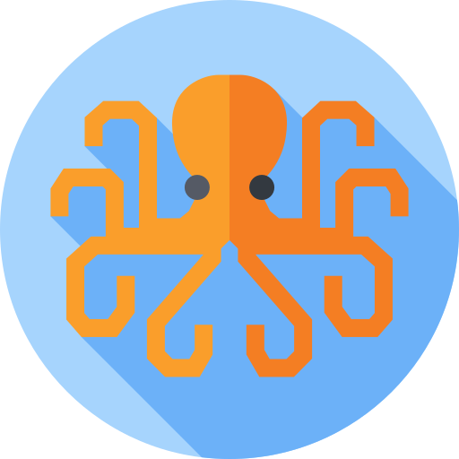 Elegant Octopuses