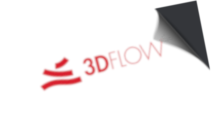 3Dflow World cup 2020